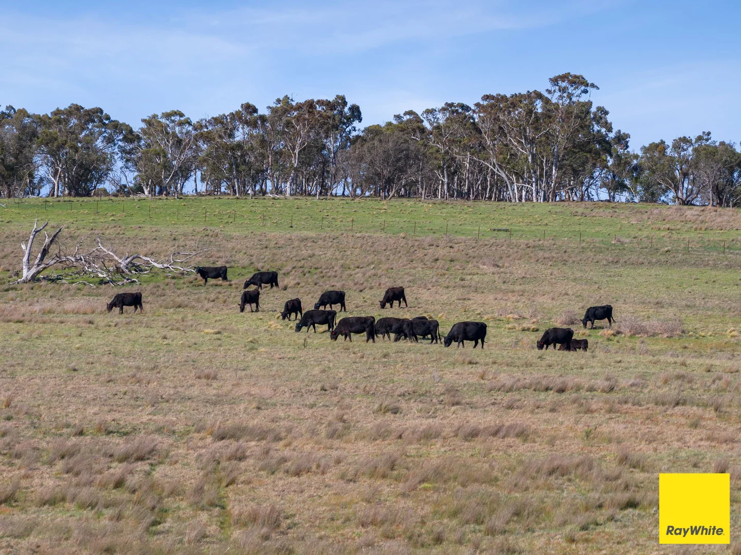 Additional image 27 of 115 Goulburn Road, Mulloon NSW 2622