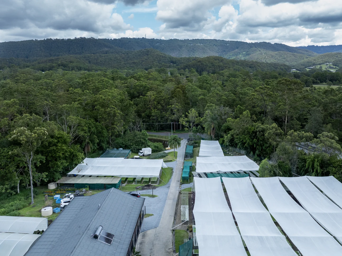 Additional image 11 of 44 Glen Nathan Court, Mount Nathan QLD 4211