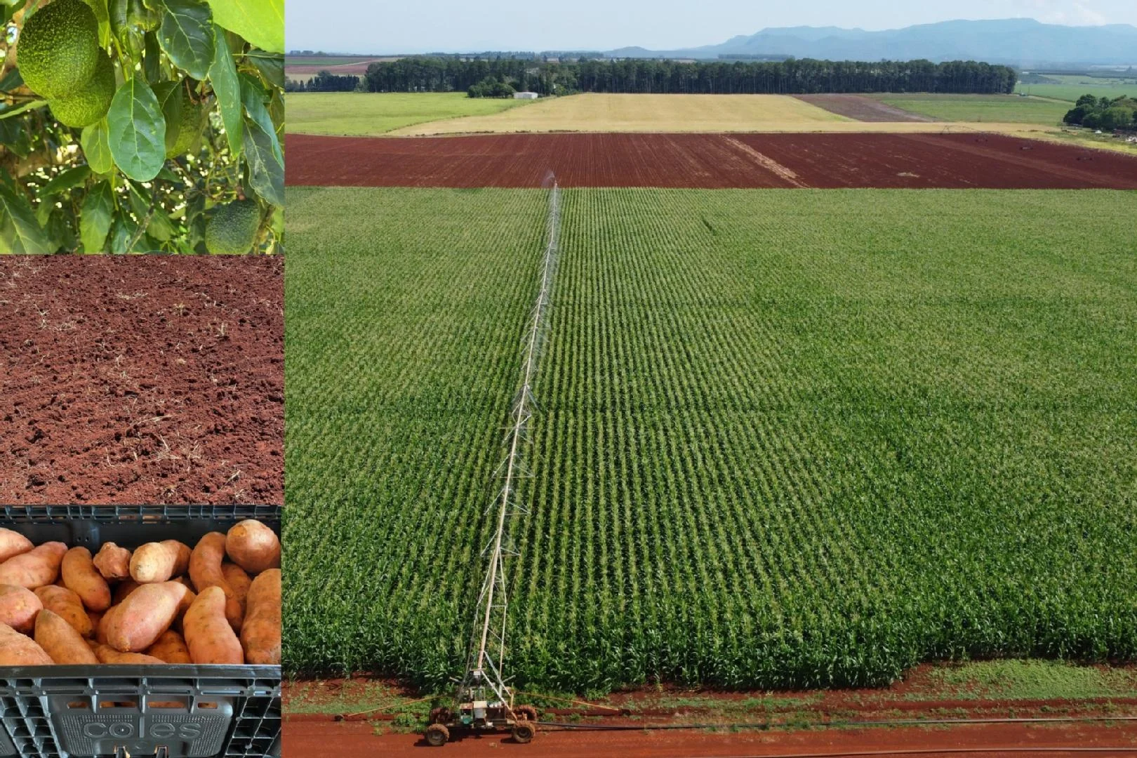 Additional image 31 of 139 Tinaroo Falls Dam Road, Atherton QLD 4883