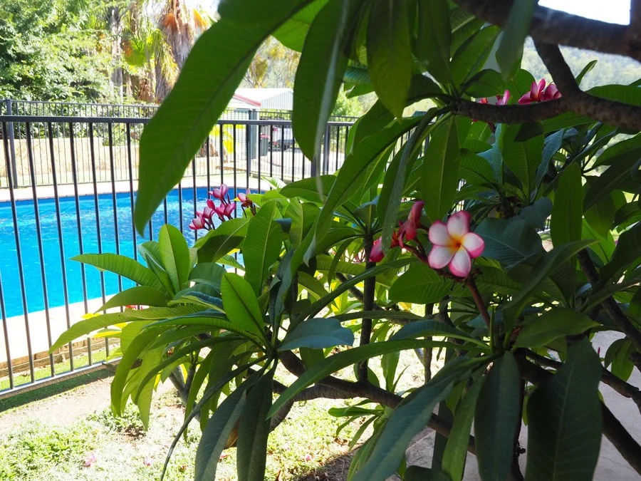 Additional image 15 of 8 White Street, Bingara NSW 2404