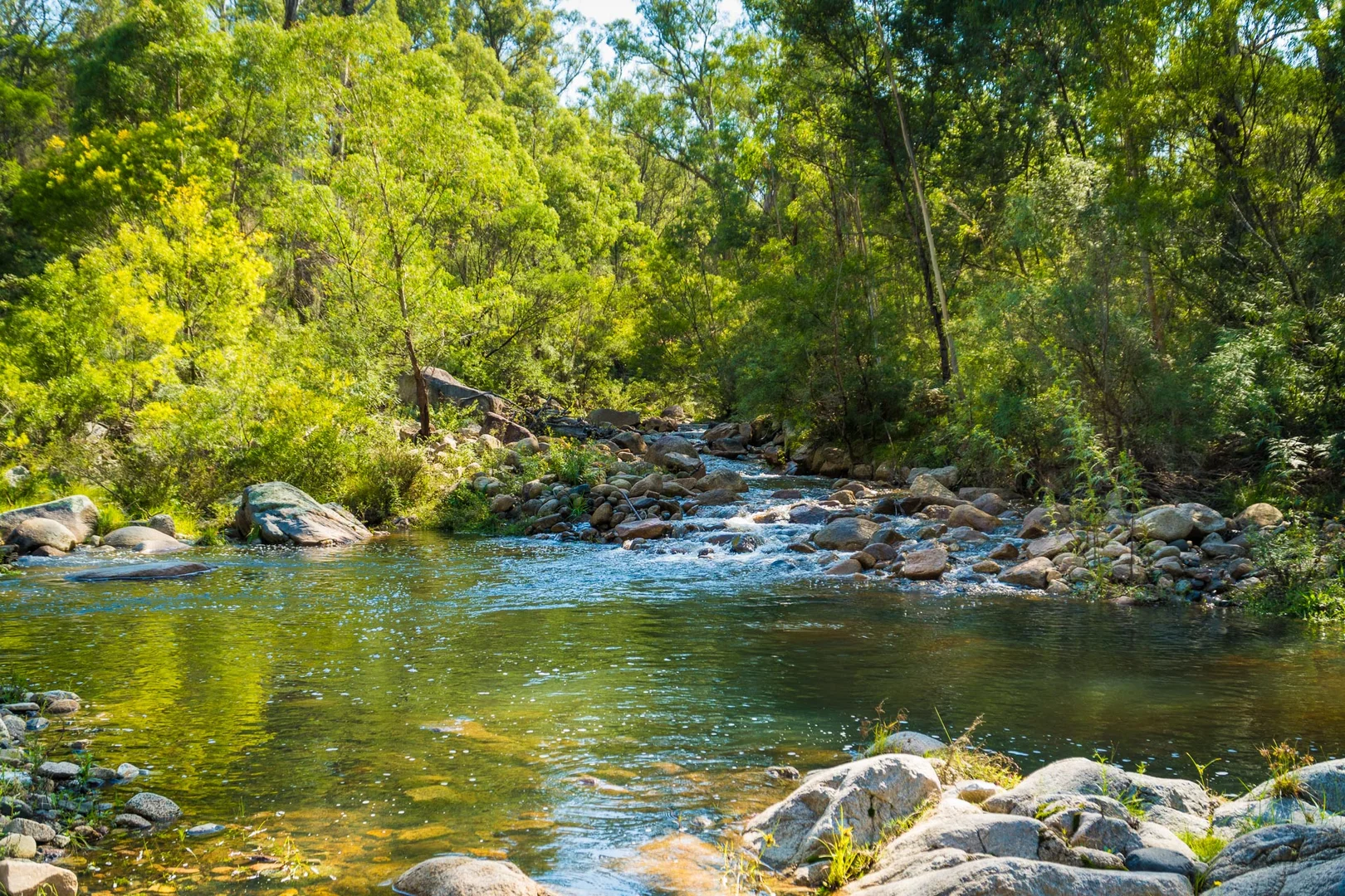 Additional image 3 of 1697 Big Jack Mountain Road, Rocky Hall NSW 2550