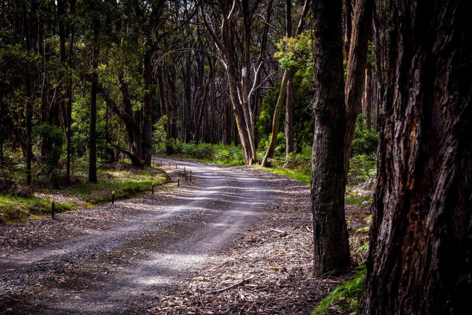 Additional image 24 of 51 Scarffs Road North, Buninyong VIC 3357