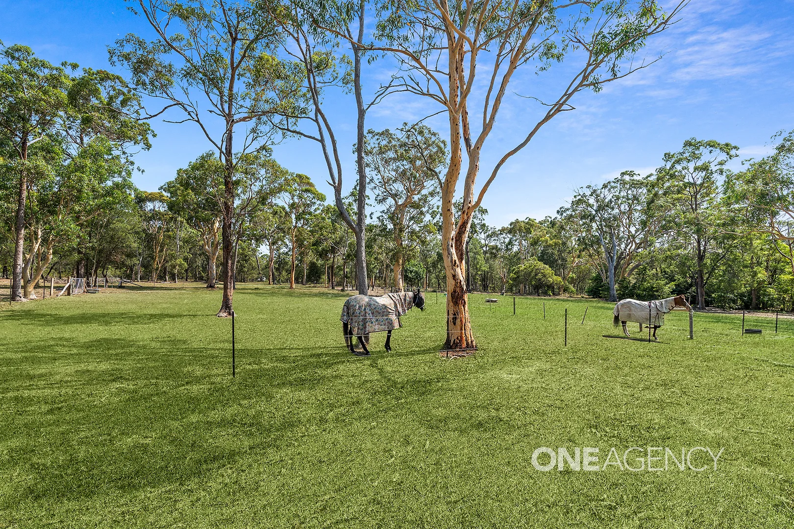 Additional image 8 of 176 Evelyn Road, Tomerong NSW 2540