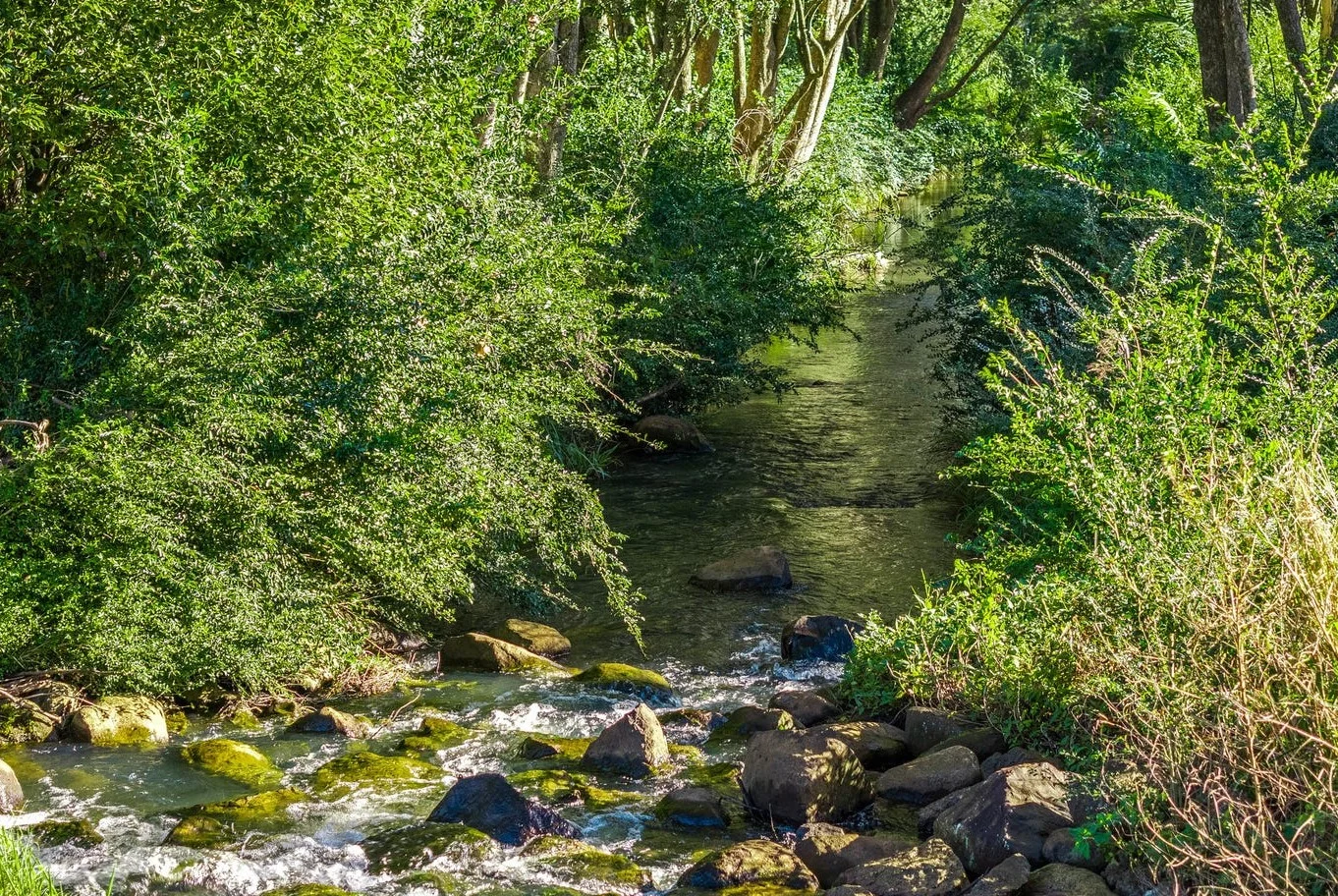 Additional image 7 of 36B Brooklet Road, Newrybar NSW 2479