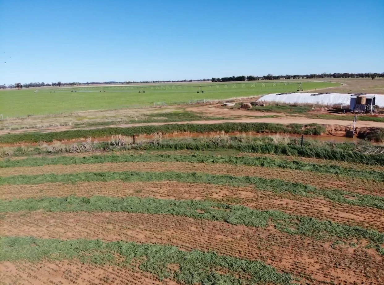 Additional image 40 of 229 Elliots Lane, Forbes NSW 2871