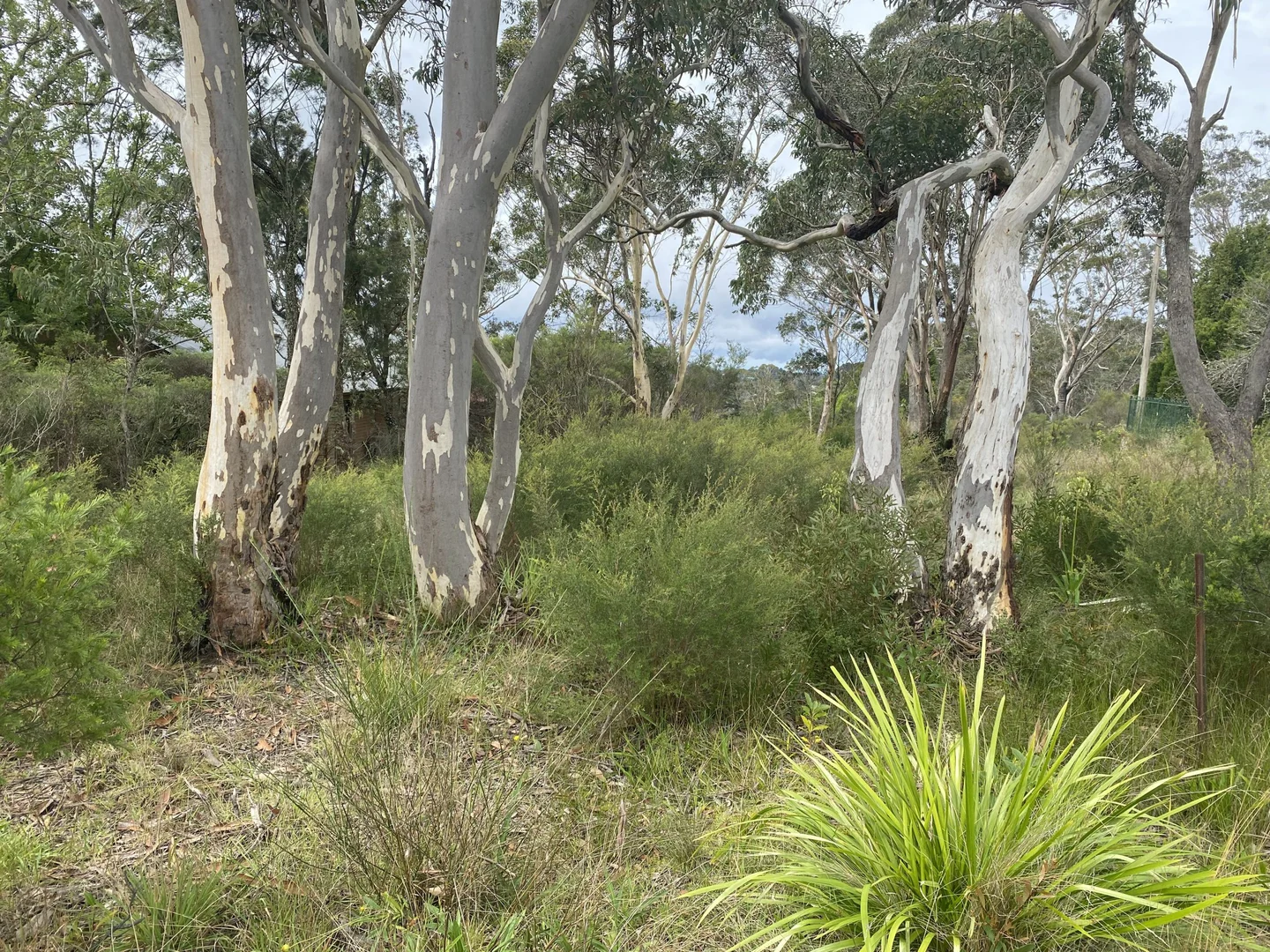 Additional image 2 of 1 Woodlands Road, Katoomba NSW 2780