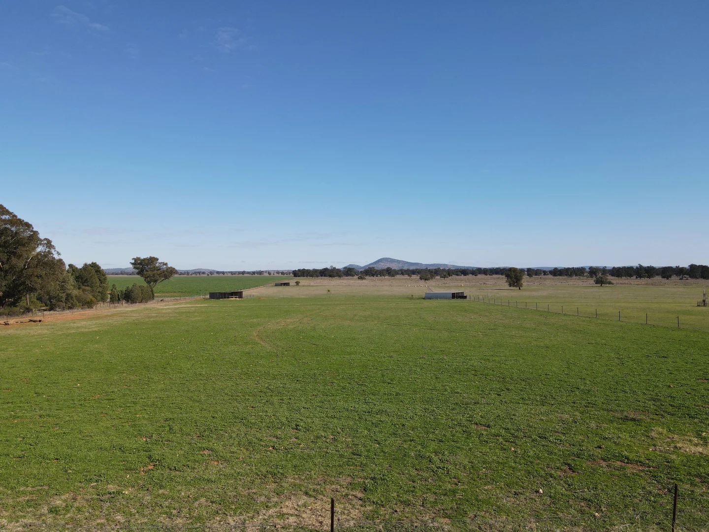 Additional image 13 of Wirrinya Road, Forbes NSW 2871