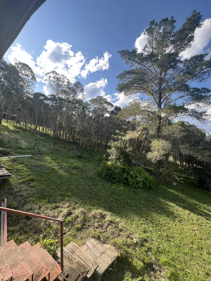 Additional image 9 of 179 Petroi Road, Lower Creek NSW 2440