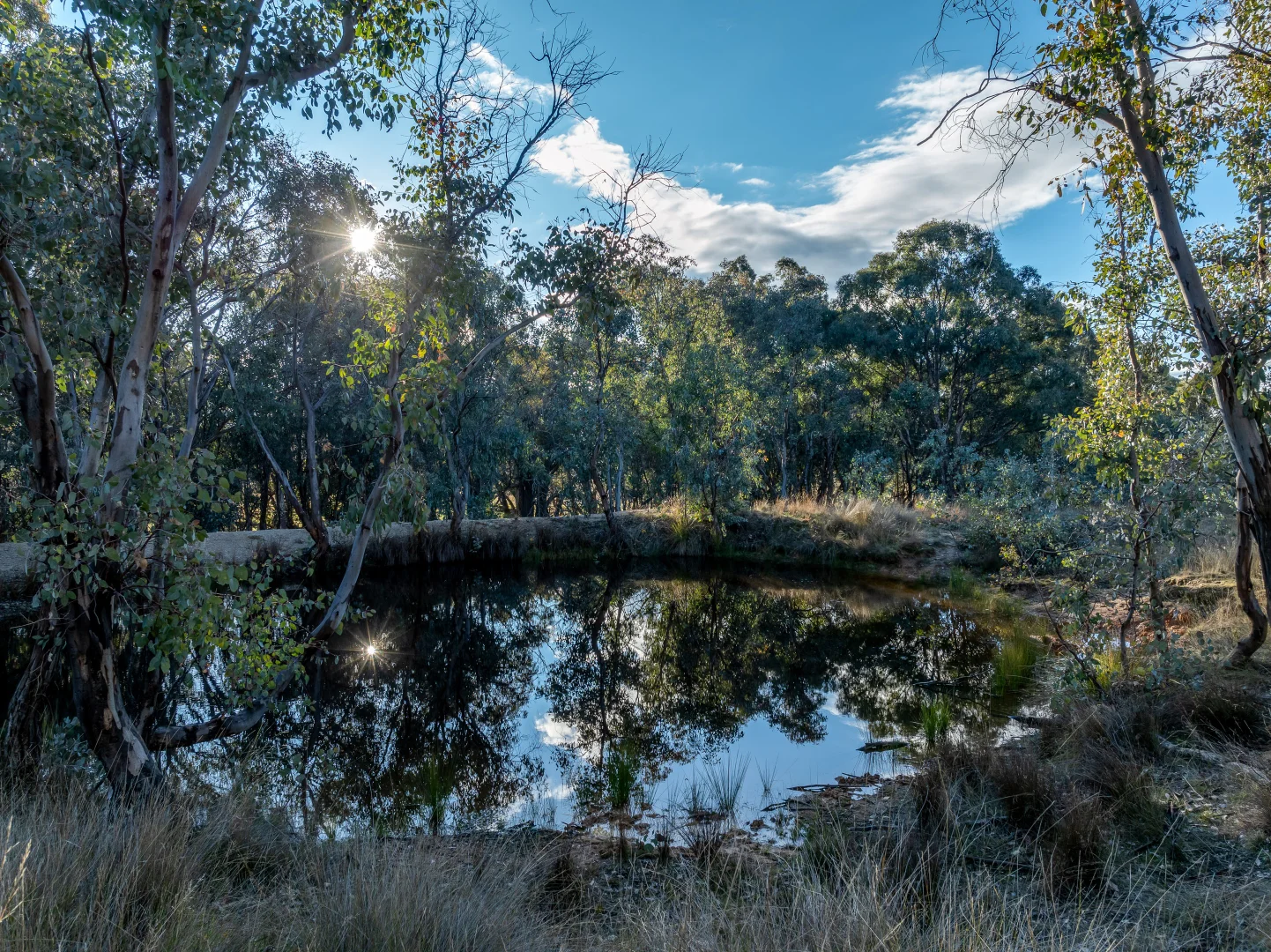 Additional image 20 of 498 (LOT A) Decca Road, Bigga NSW 2583