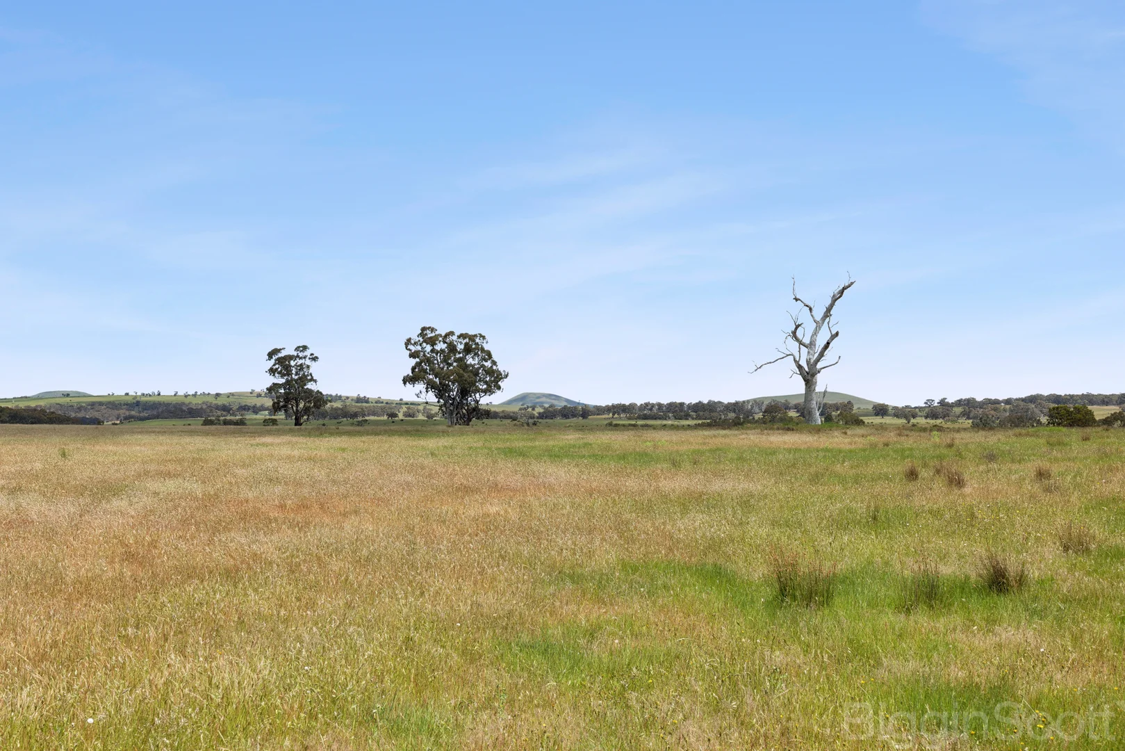 Additional image 7 of 260 Deep Creek Road, Campbelltown VIC 3364