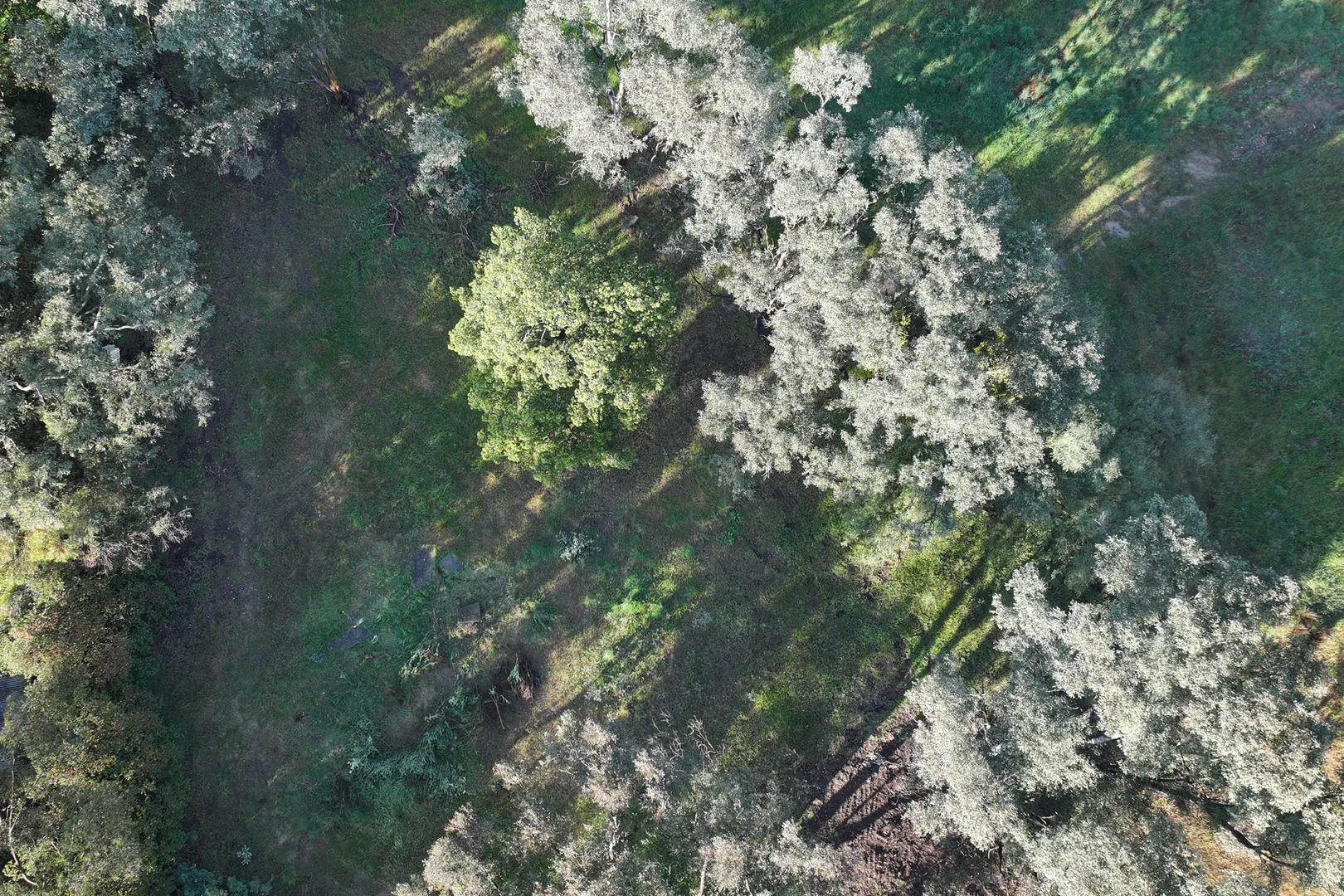 Additional image 10 of 18 Mylora Street, Binalong NSW 2584