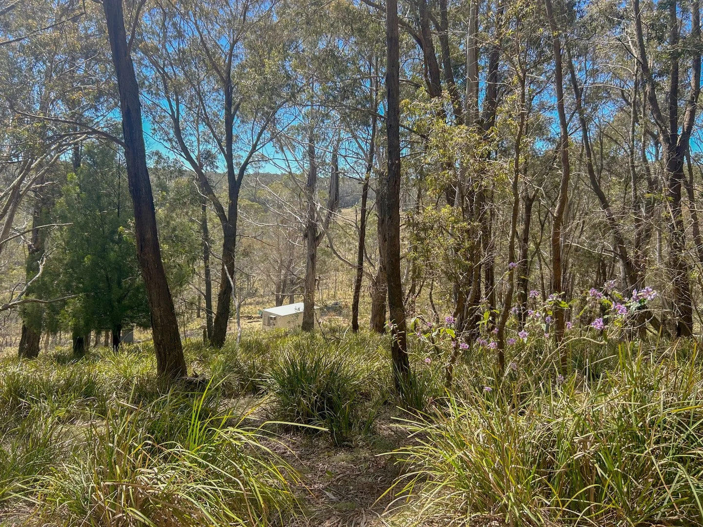 Additional image 3 of 153 Blue Bush Road, Wyanbene NSW 2622