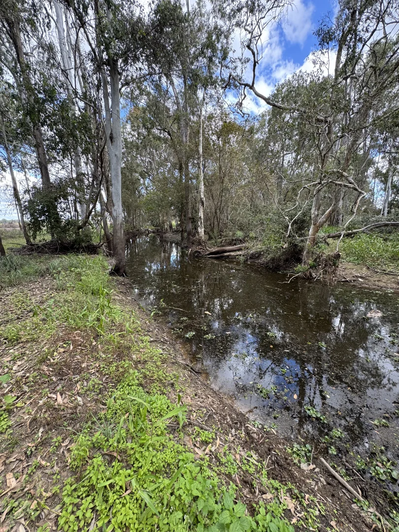 Additional image 7 of Lot 128/178 Quigley Road, Majors Creek QLD 4816
