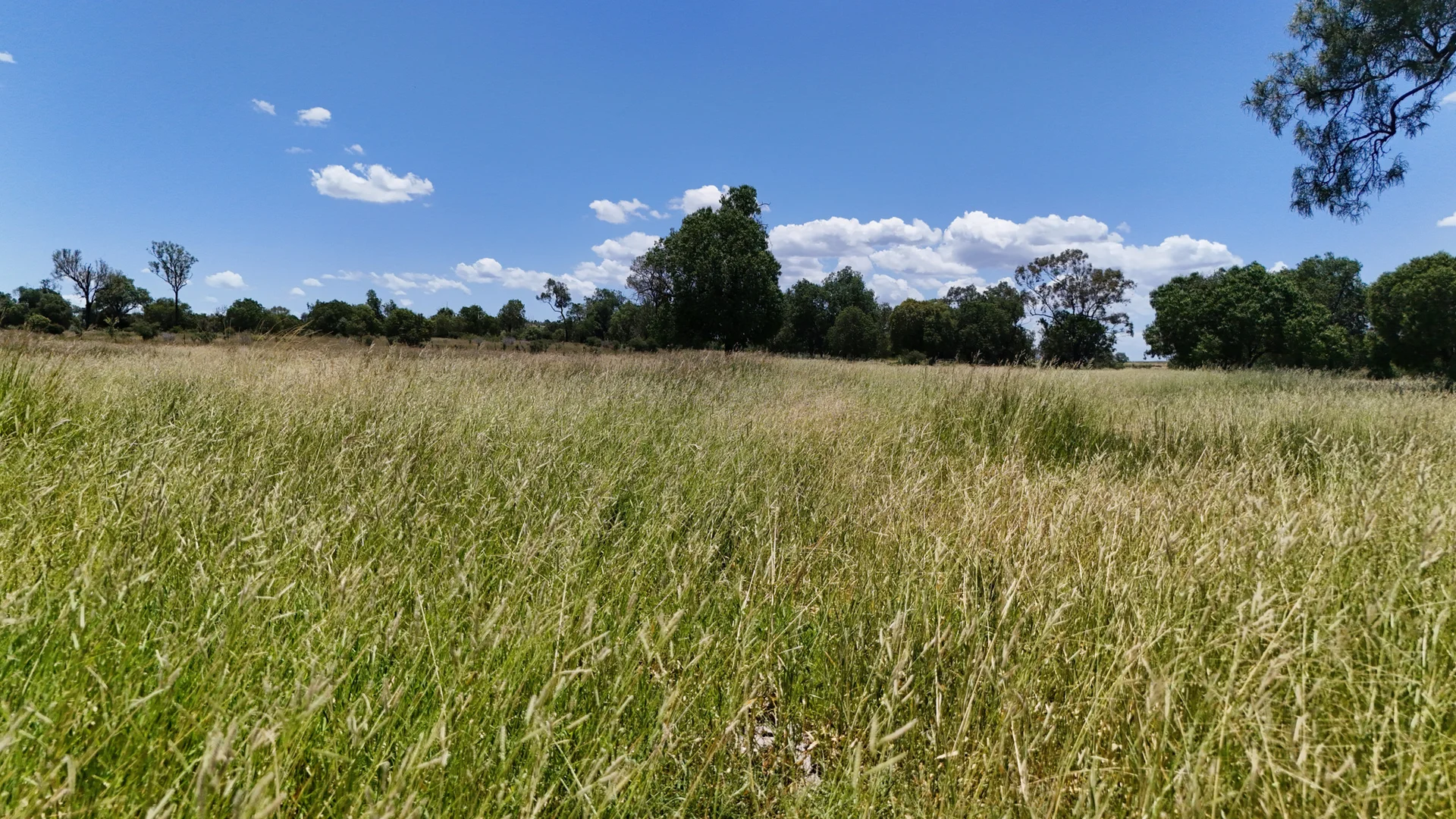 Additional image 6 of 360 Sewells Walloon Road, Castle Creek QLD 4715