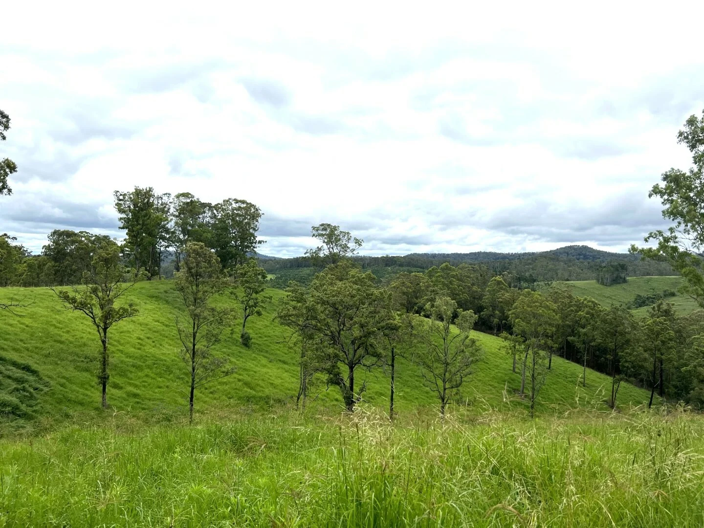 Additional image 26 of 59 Wyndham Road, Wyneden NSW 2474