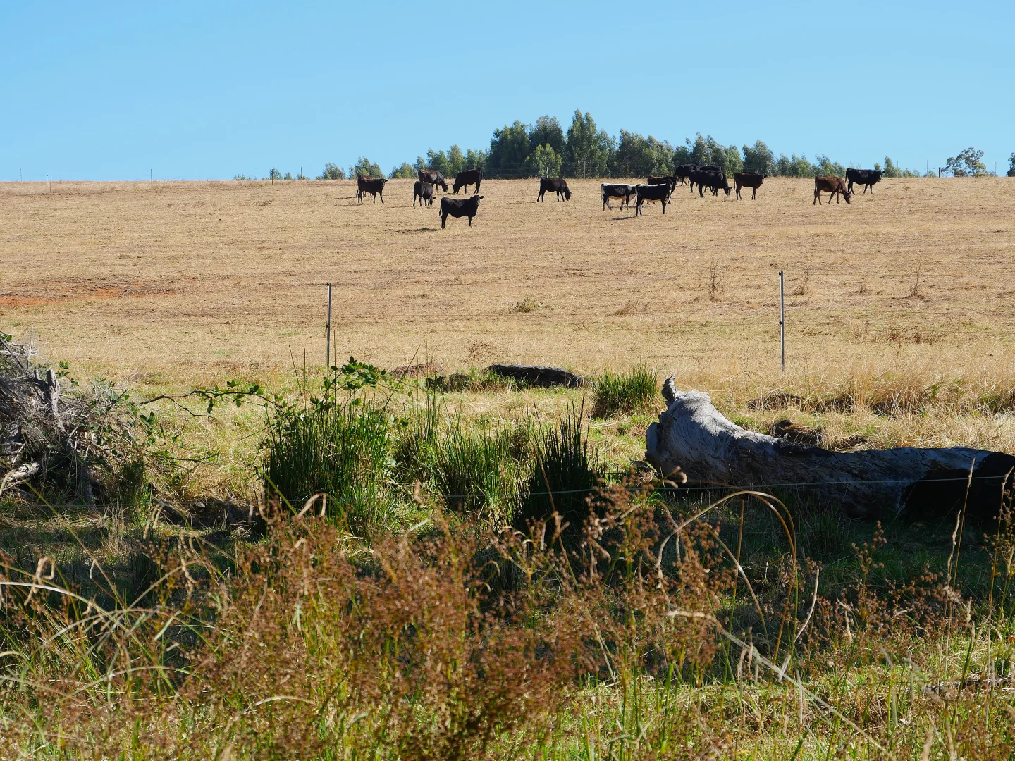 Additional image 18 of 61 Hayes Road, East Nannup WA 6275
