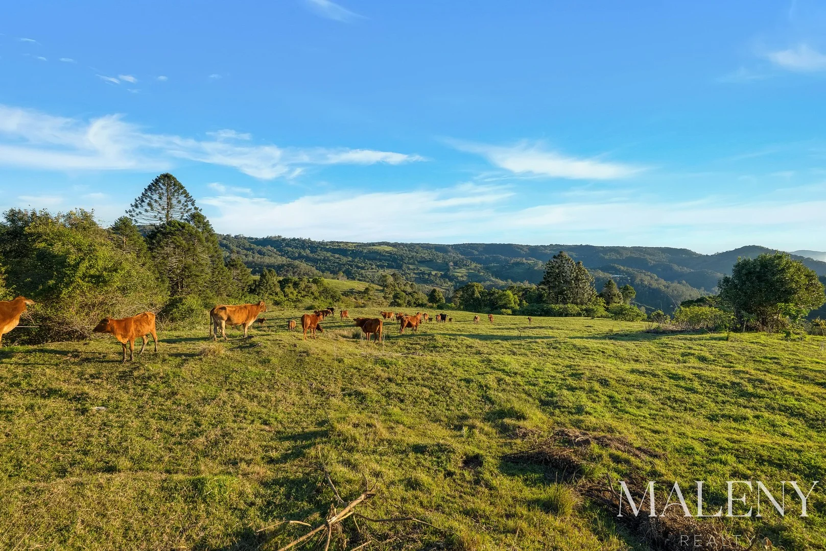 Additional image 3 of LOT 2 Maleny Kenilworth Road, Witta QLD 4552