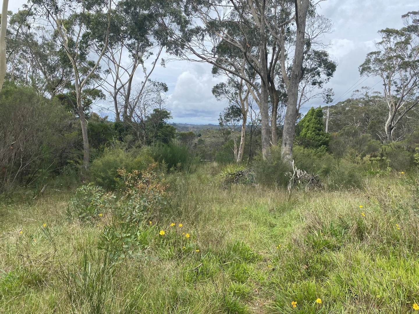 Additional image 8 of 1 Woodlands Road, Katoomba NSW 2780