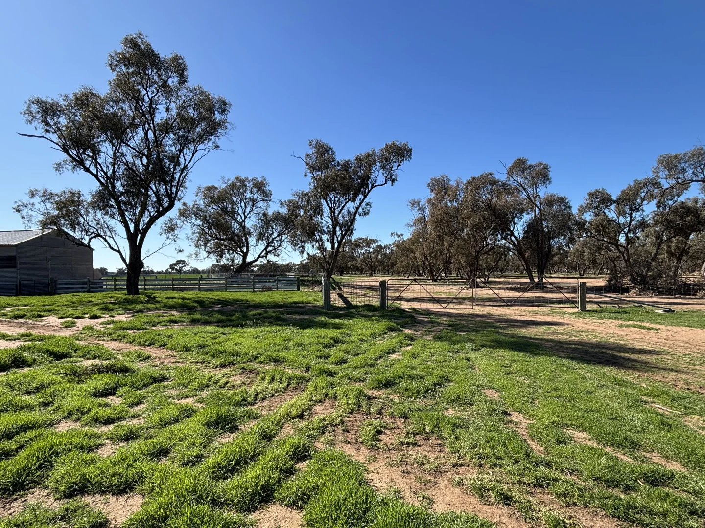 Additional image 3 of Cleary Road, Sea Lake VIC 3533