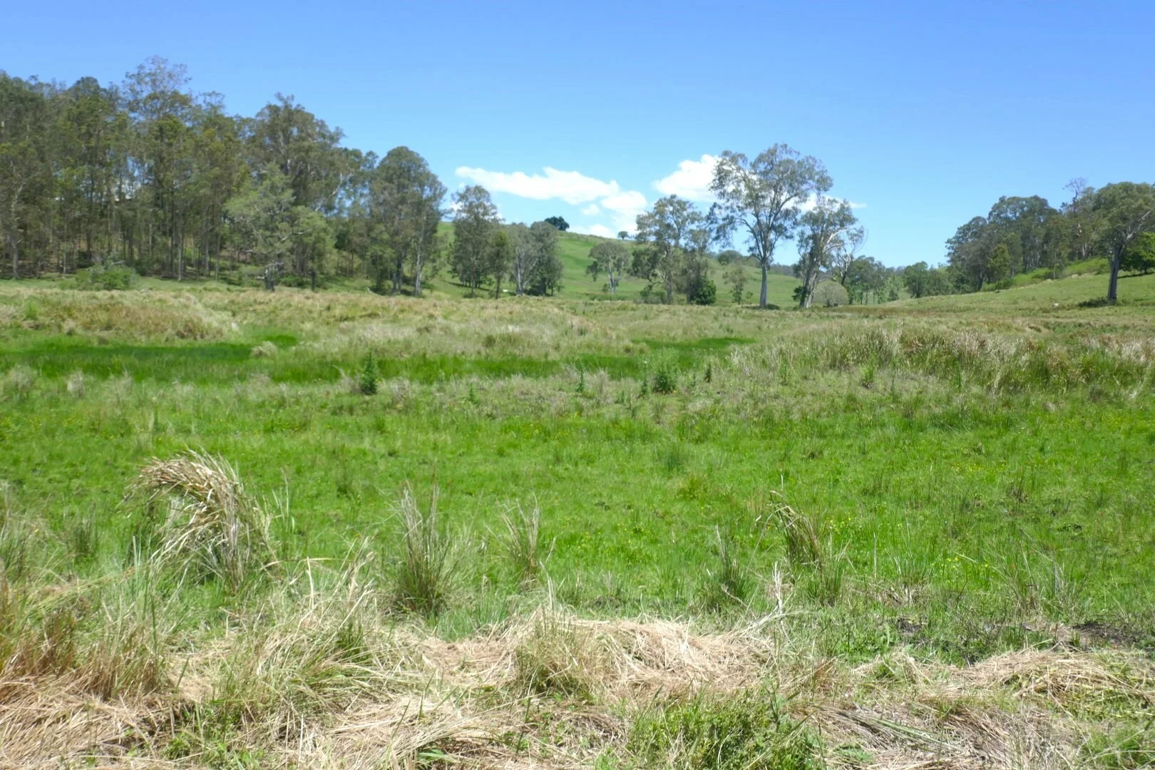 Additional image 11 of 600 Old Dyraaba Road, Casino NSW 2470