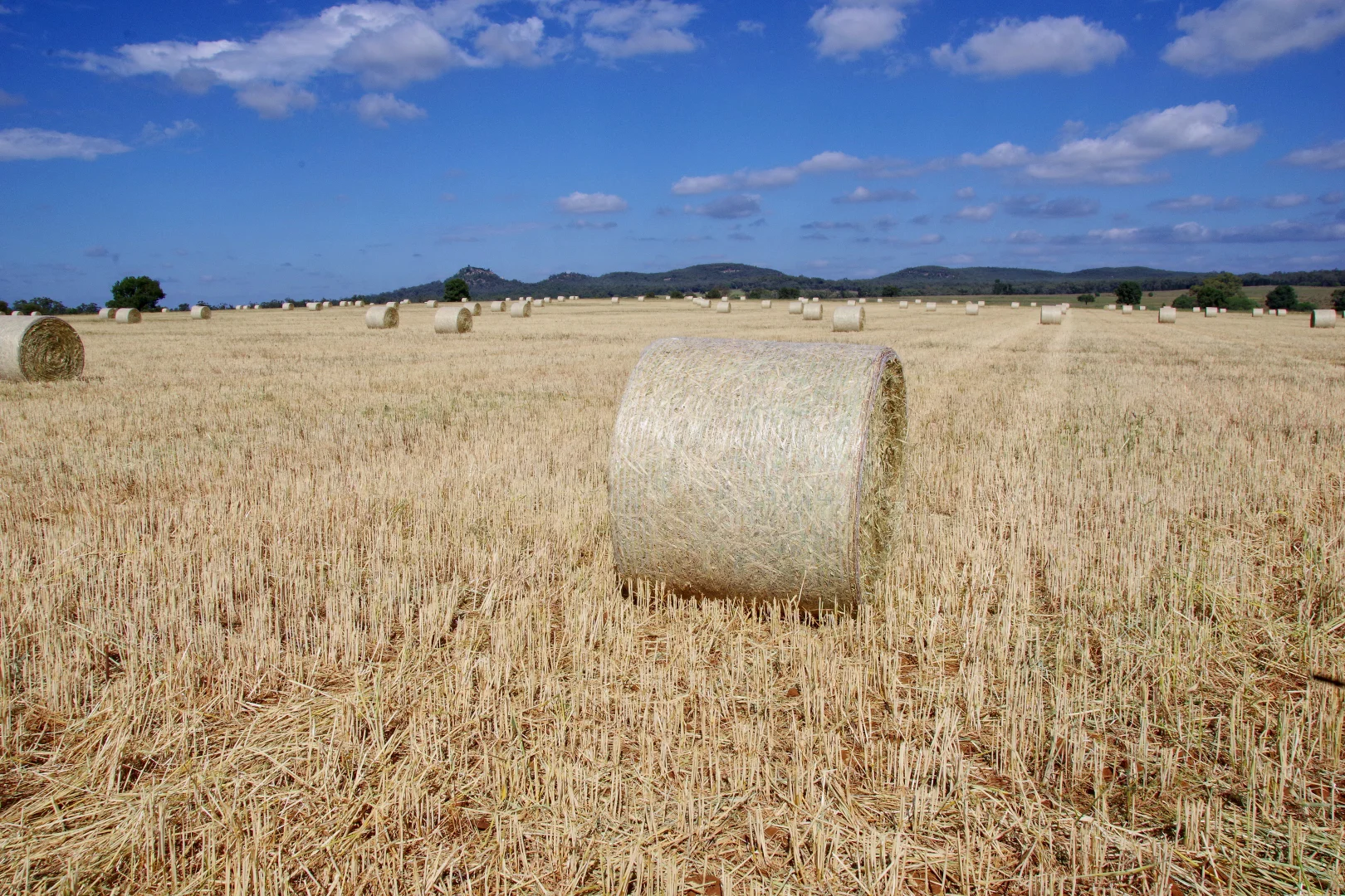 Additional image 47 of 1676 Willala Road, Boggabri NSW 2382