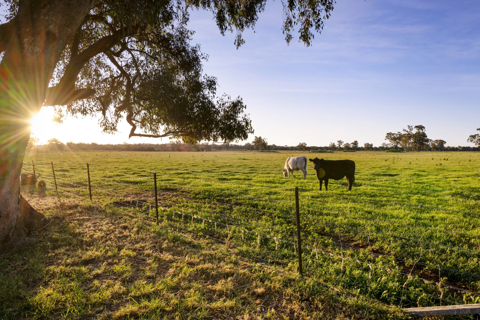 Additional image 30 of 617 Police Paddocks Rd, Carlyle VIC 3685
