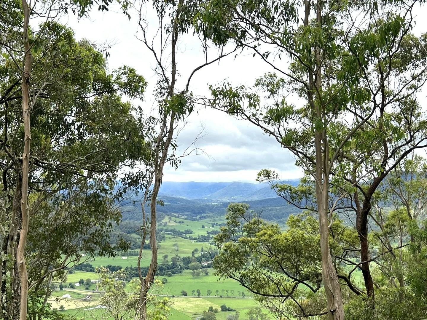 Additional image 8 of 59 Wyndham Road, Wyneden NSW 2474