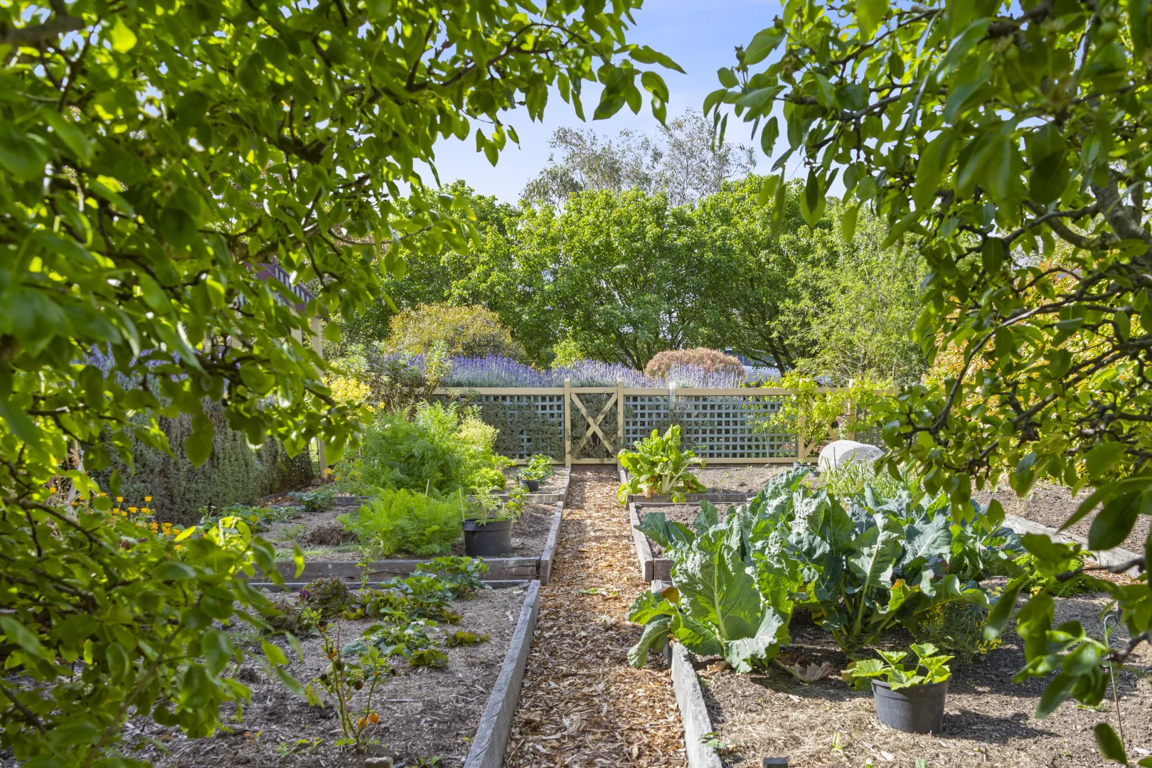 Additional image 4 of 12-14 Wheatsheaf Road, Ceres VIC 3221