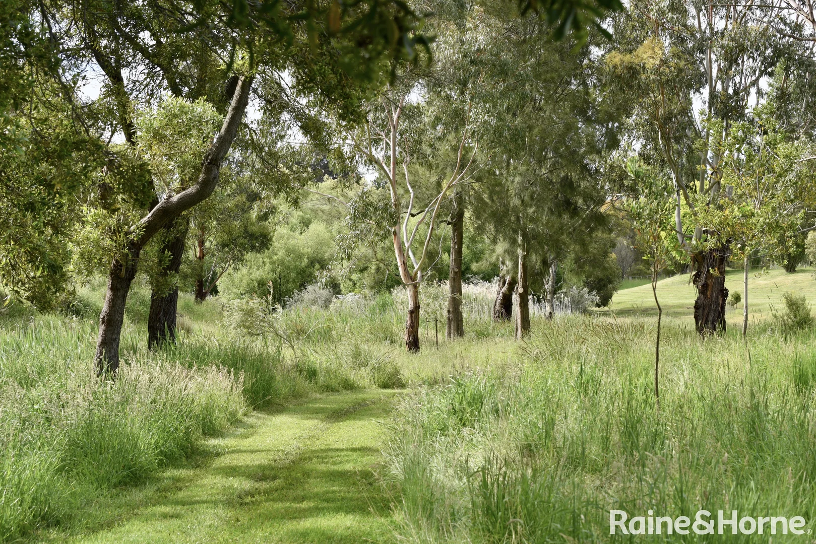 Additional image 14 of 52 Williams Lane, Riddells Creek VIC 3431