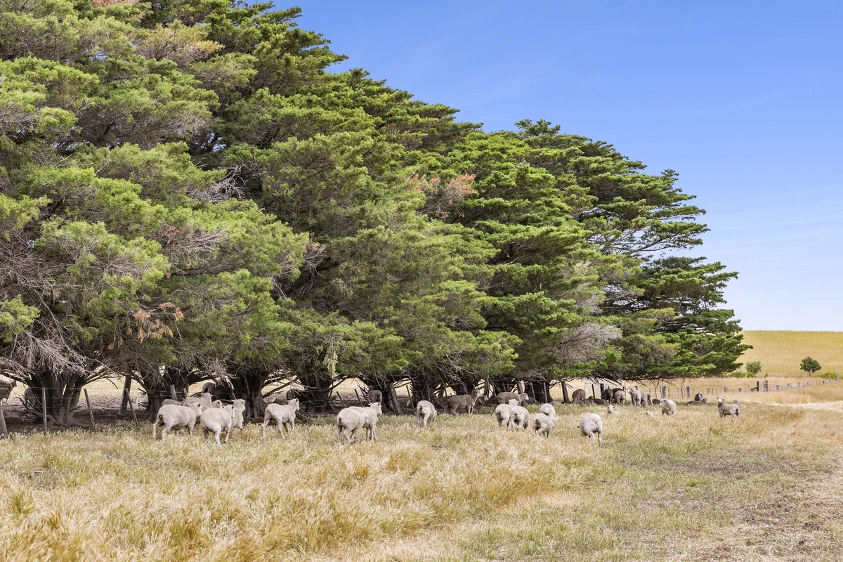 Additional image 5 of 695 Reservoir Road, Mount Moriac VIC 3240