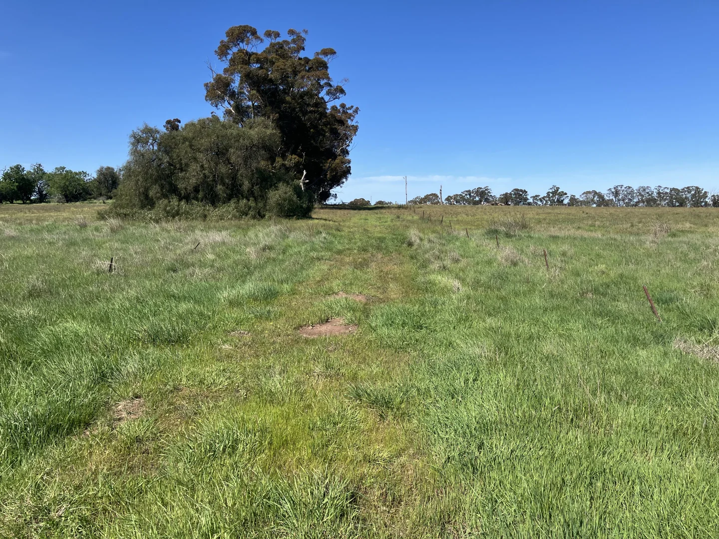 Additional image 8 of 668 Ullswater-Mortat Road, Ullswater VIC 3318