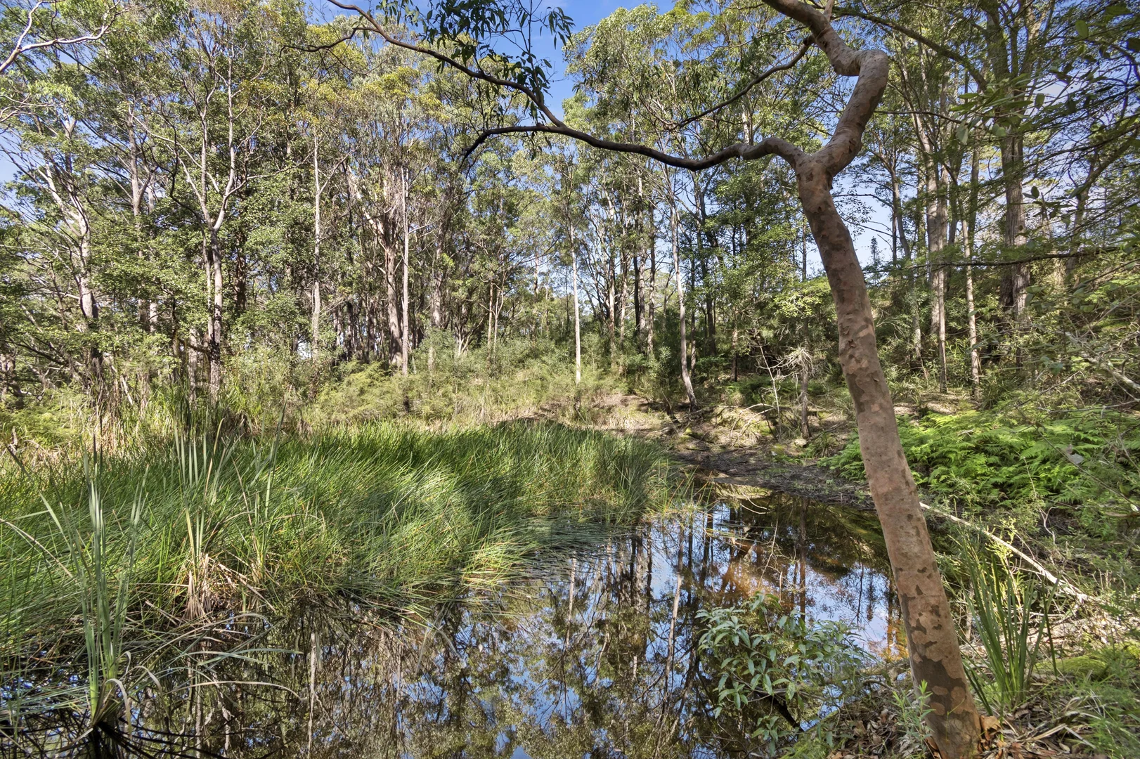 Additional image 26 of 174 Mountain Lagoon Road, Bilpin NSW 2758
