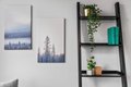 Additional image 8 of 828 NE 66th St, Seattle, WA, 98115
