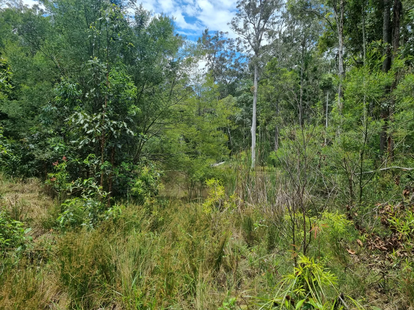 Additional image 8 of 0 SUNDAY CREEK ROAD, Jimna QLD 4515