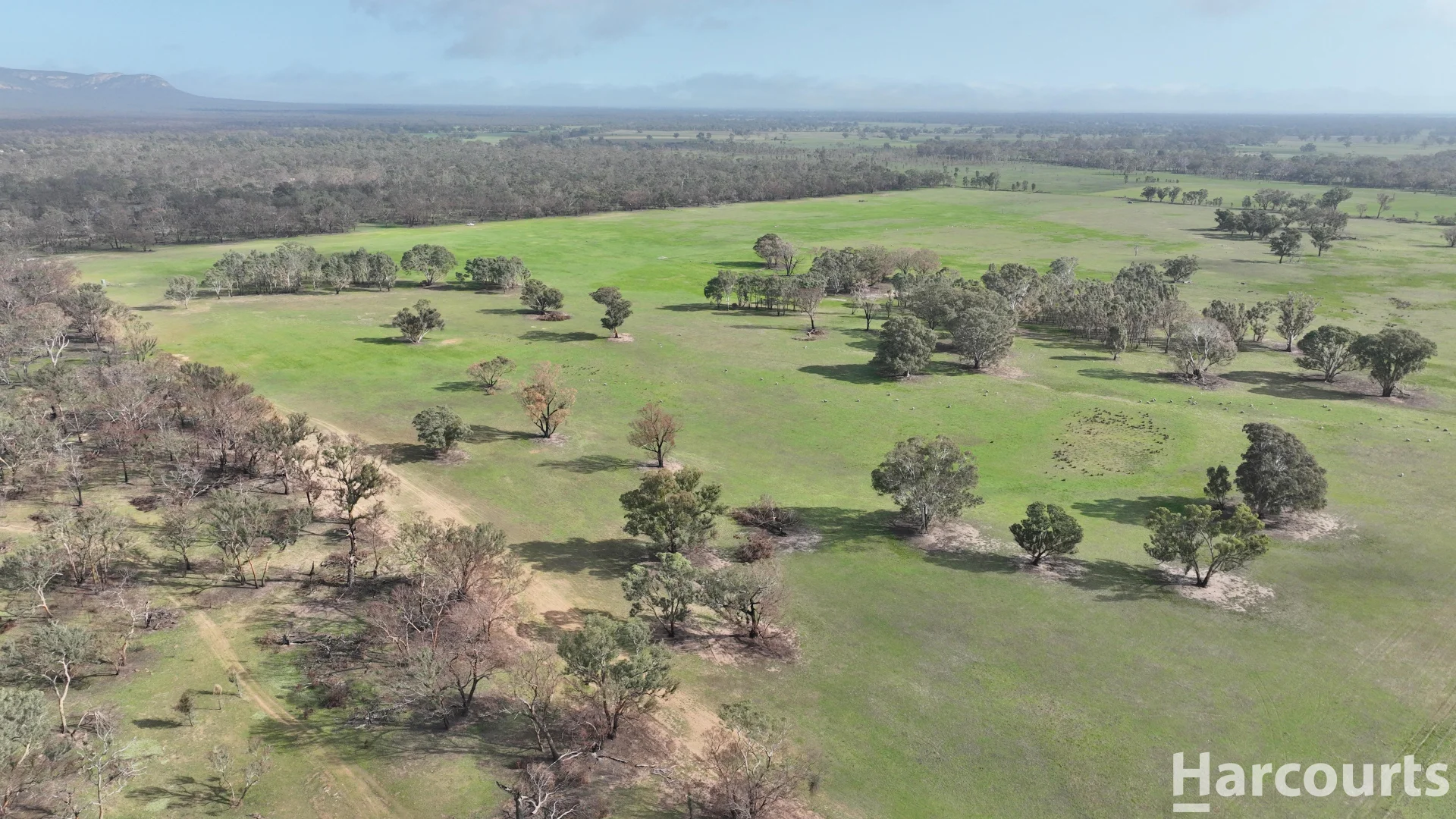 Additional image 31 of 6080 Western Highway, Dadswells Bridge VIC 3385
