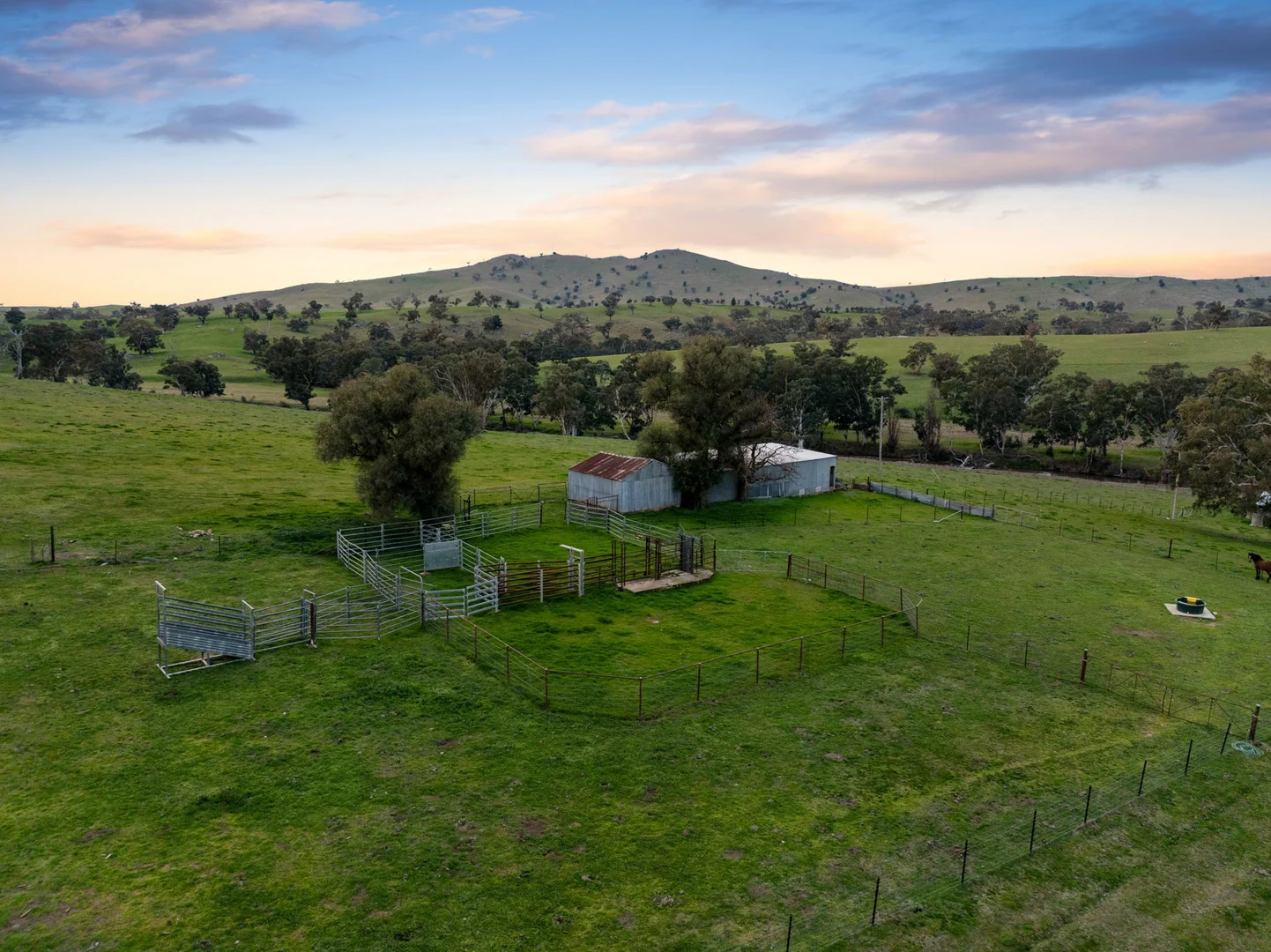 Additional image 11 of "Garratt" 597 Garratt Road, Jugiong NSW 2726