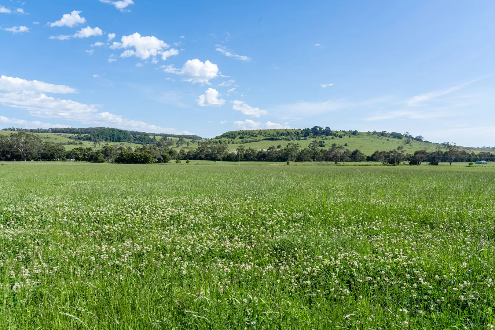 Additional image 6 of 876 Cobden Port Campbell Road, Scotts Creek VIC 3267