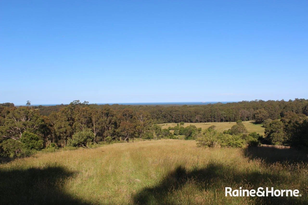 Additional image 12 of Lot 2 Bryces Road, Far Meadow NSW 2535