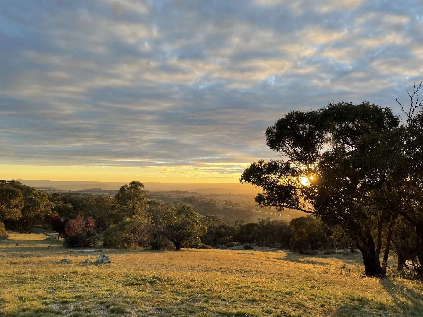 Additional image 20 of Mount Rankin NSW 2795