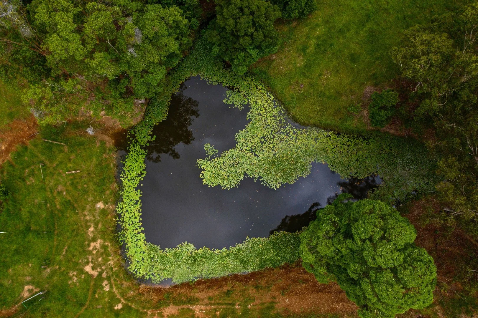 Additional image 19 of 6 Ringtail Road, Stokers Siding NSW 2484