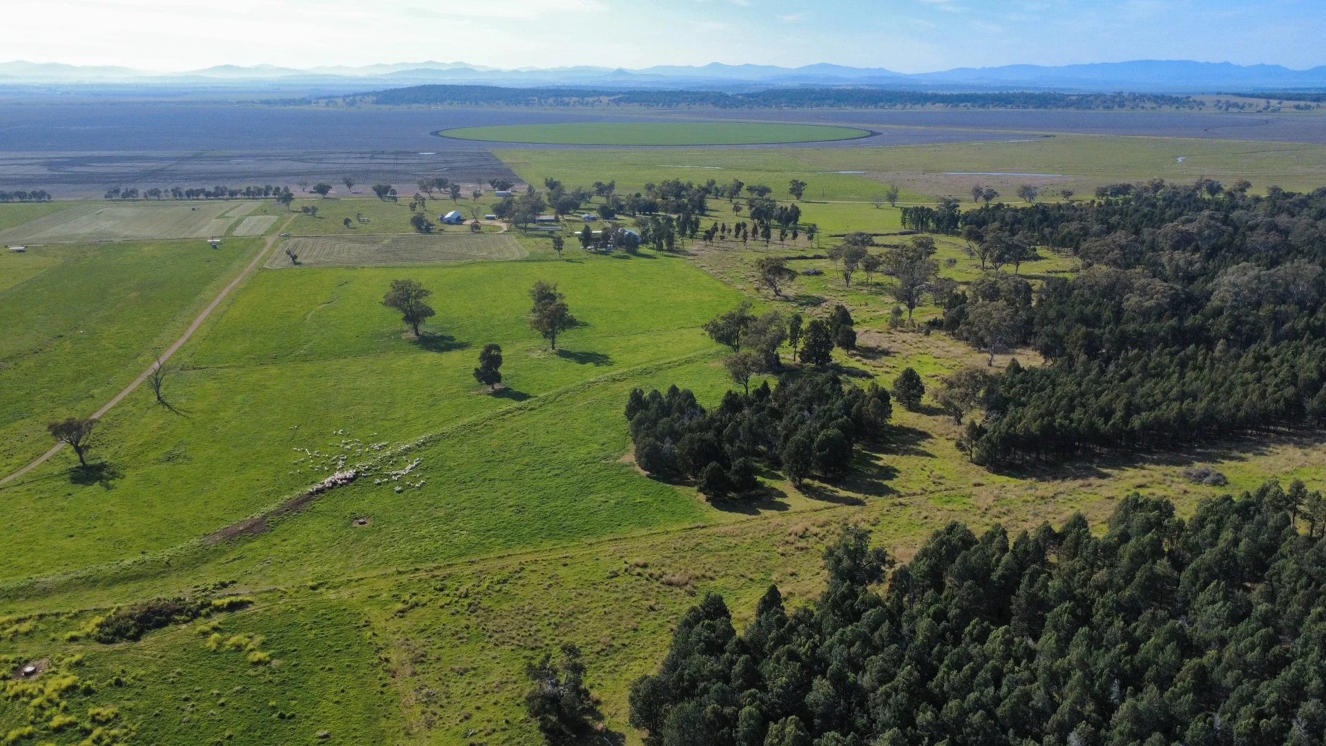 Additional image 2 of "Glenaladale" 167 Mooki Springs Road, Quirindi NSW 2343