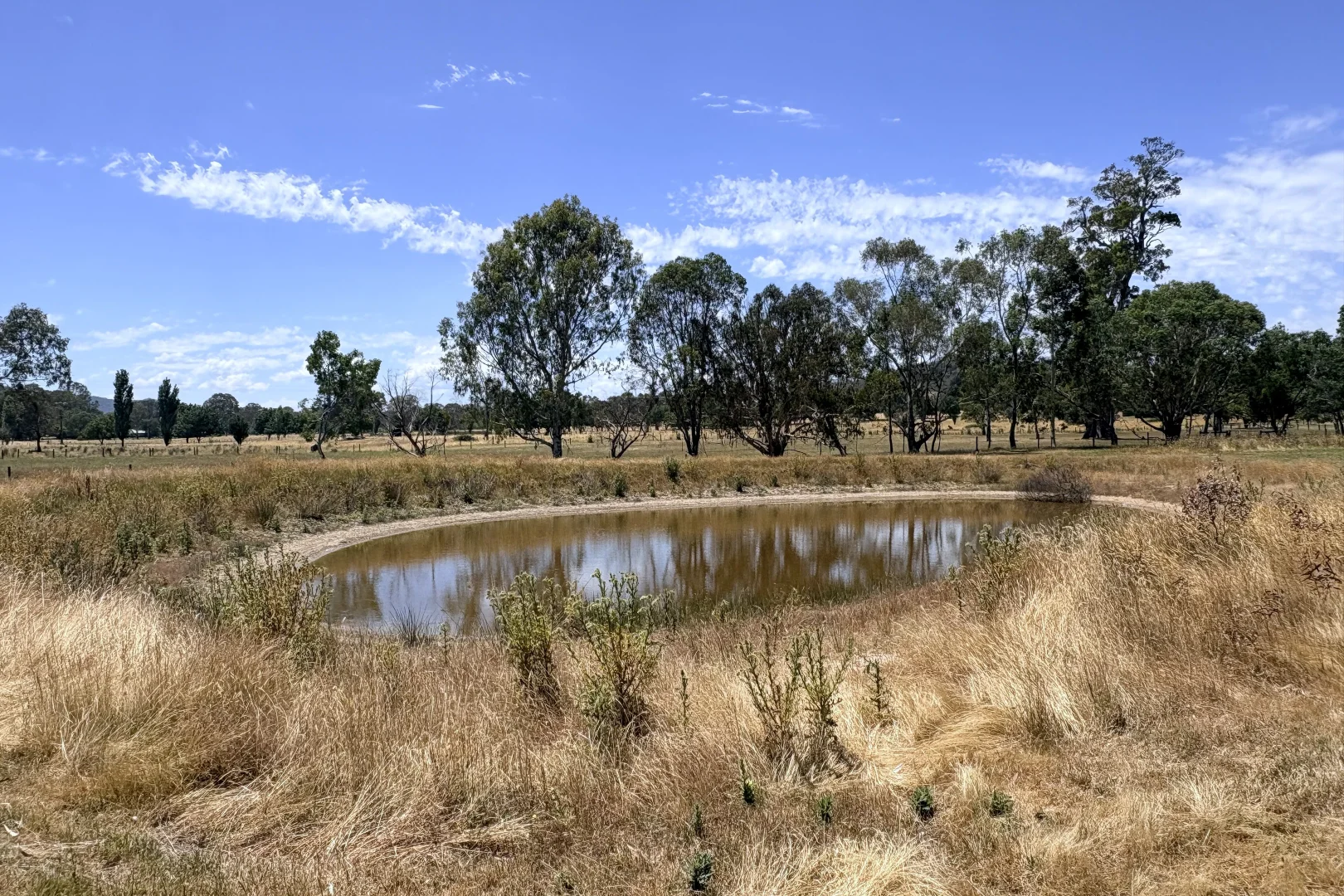 Additional image 15 of 523 Howes Creek-Goughs Bay Road, Goughs Bay VIC 3723