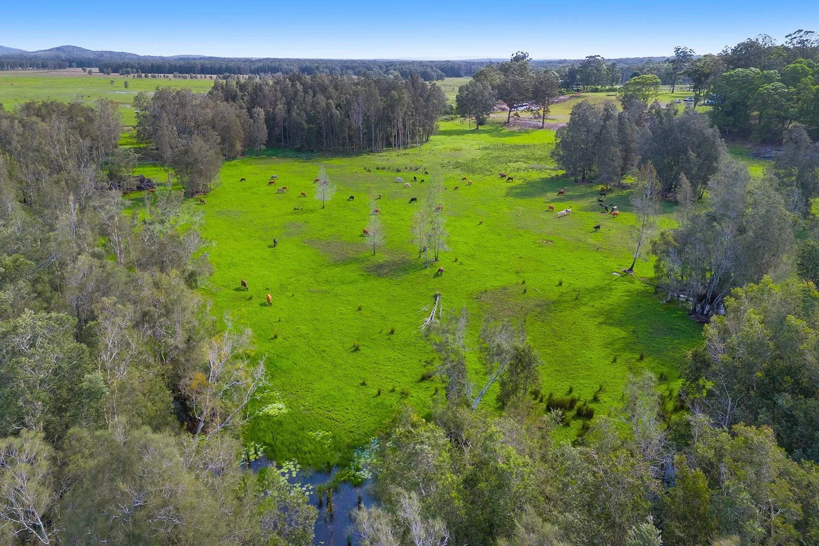 Additional image 3 of 1/437 Seale Road, Belmore River NSW 2440