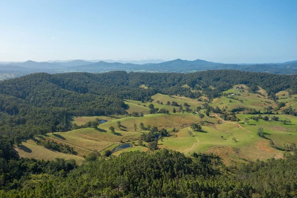 Additional image 25 of 353 Rhones Creek Road, Talarm NSW 2447