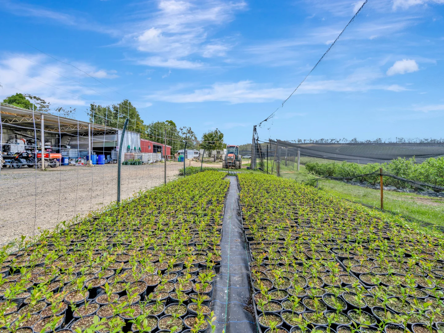 Additional image 11 of 13 Schuppe Drive, Congarinni North NSW 2447