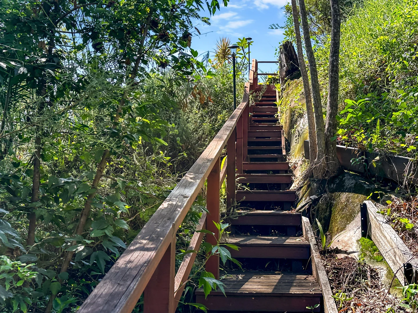 Additional image 26 of 21 Coast Road, Macleay Island QLD 4184