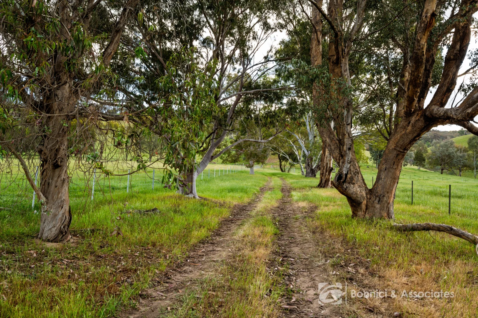 Additional image 8 of Lot 2/PS917939 Indigo Creek Road, Indigo Valley VIC 3688