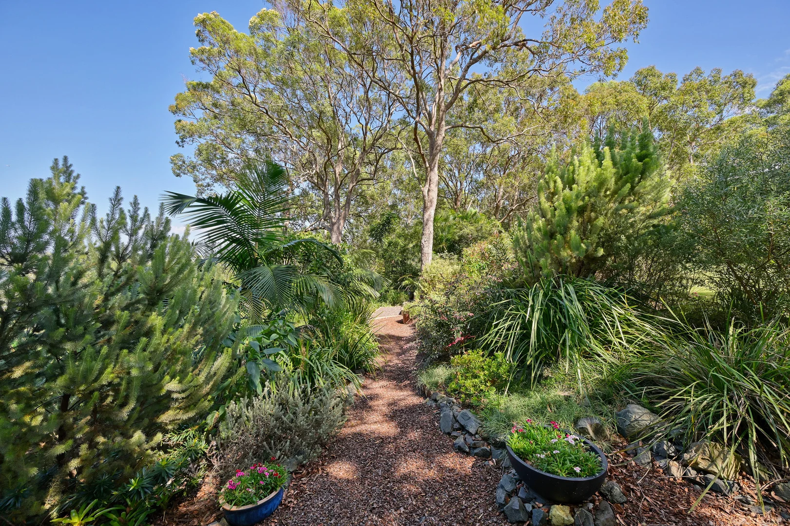 Additional image 21 of 47 North Shore Drive, North Shore NSW 2444