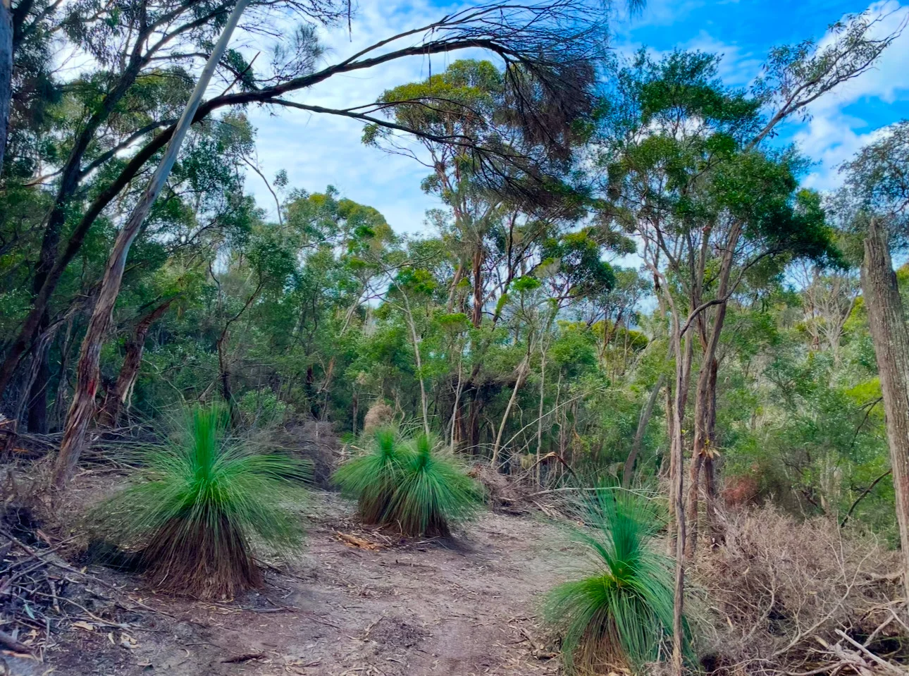 Additional image 4 of . Killiecrankie Road, Killiecrankie TAS 7255