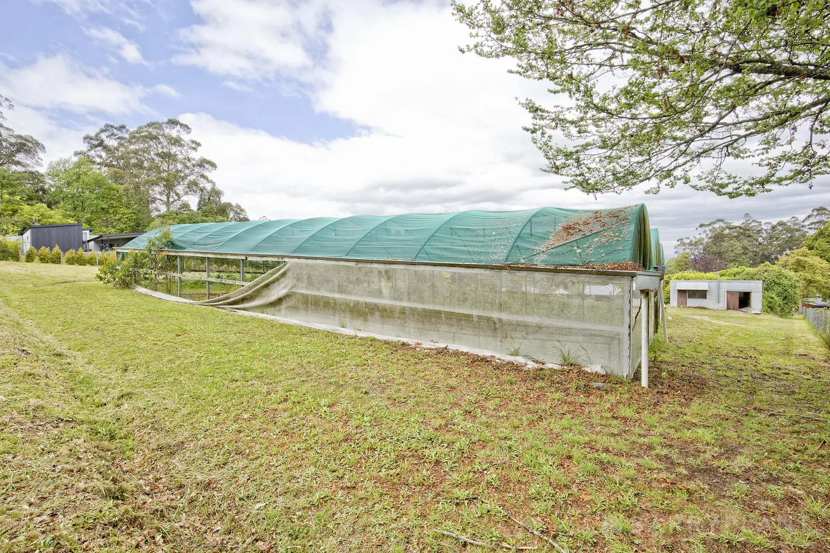 Additional image 10 of 3 Victor Street, Olinda VIC 3788